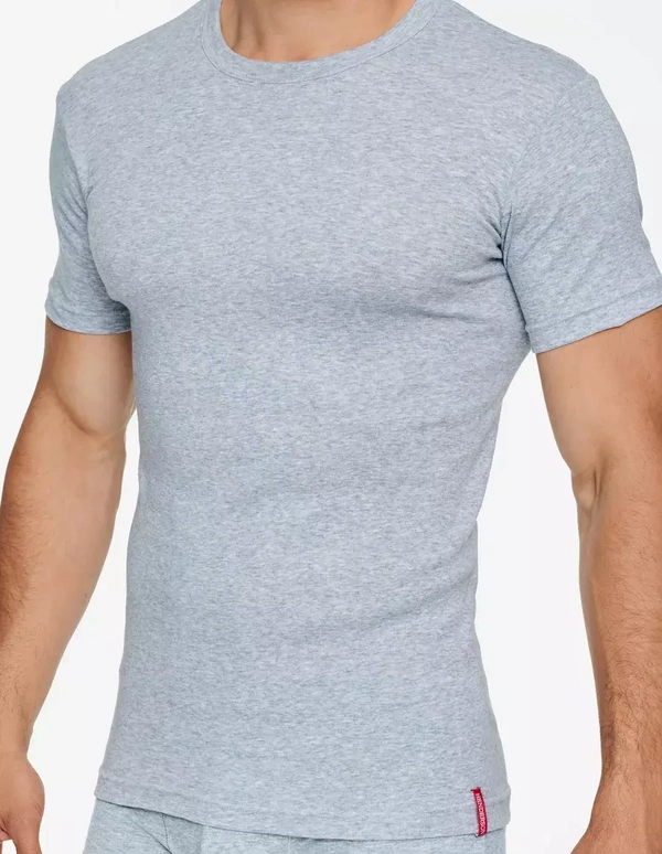 Men's short-sleeved T-shirt Henderson gray 1495